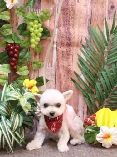 20230830じゅのんくん